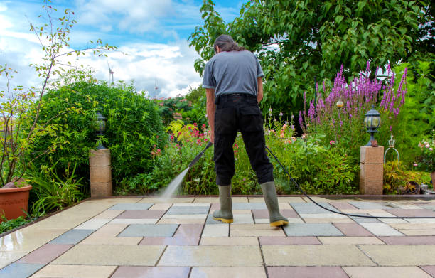 Trusted Greenville, VA Pressure Washing Services Experts